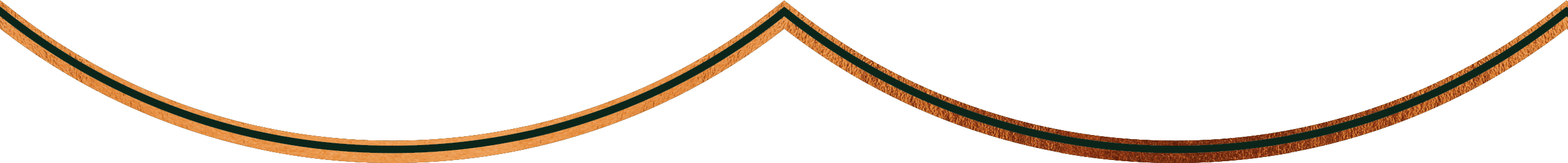 Shield Top